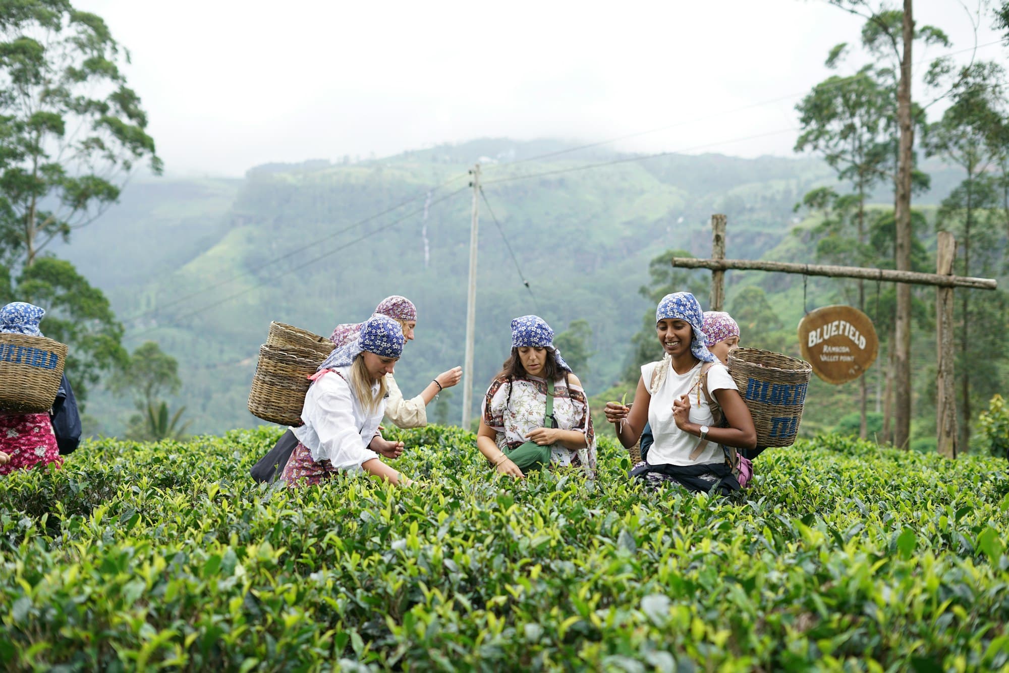 Local experiences