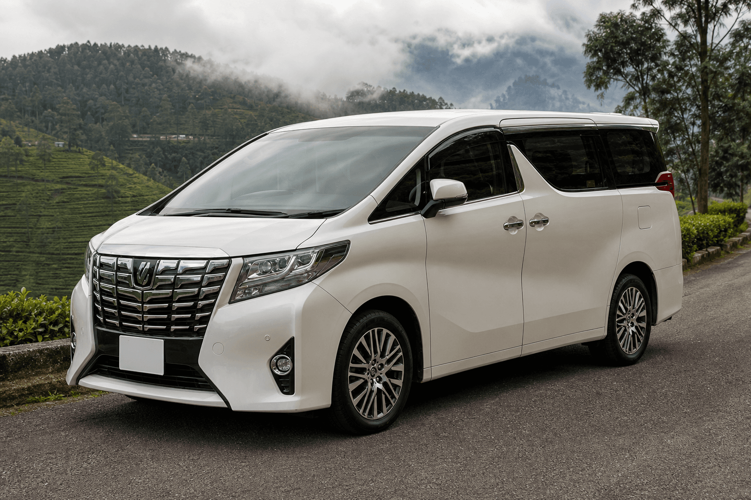 Luxury van