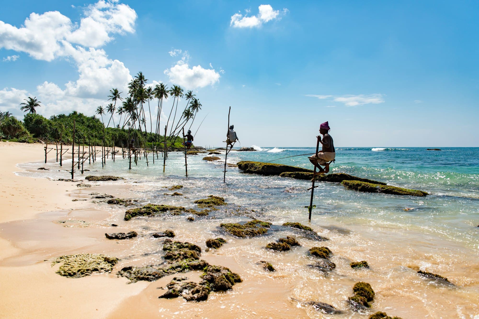 Evening light on the southern Sri Lankan coast
